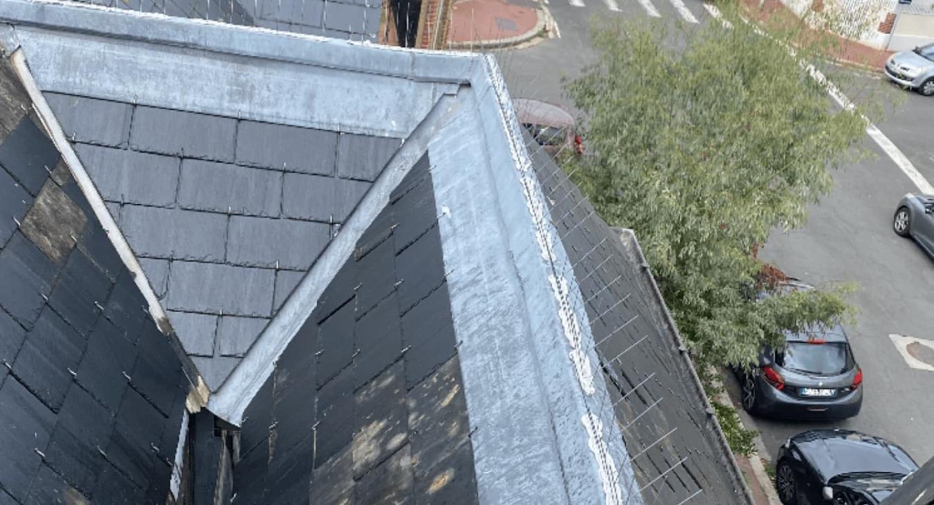 Nettoyage de toiture & Piques anti-volatiles Deauville